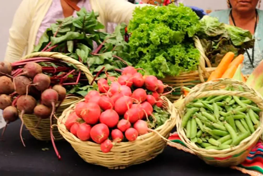 Imagen de referencia