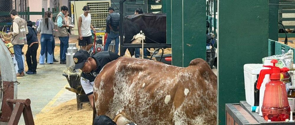 $output.data $output.data