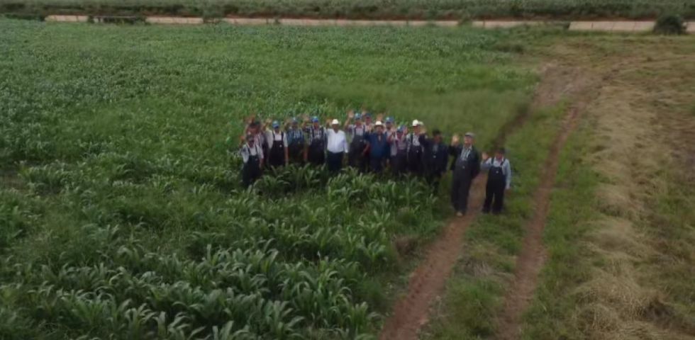 Menonitas, la cada vez más poderosa tercera minoría étnica boliviana