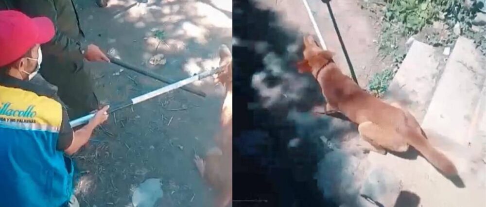 $output.data $output.data