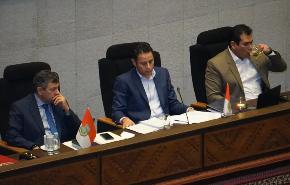 El vicepresidente Edmand Lara en sesión. Foto: APG.