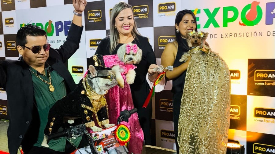Expopet 2026: este sábado coronarán a la mascota campeona- Expopet 2026: este sábado coronarán a la mascota campeona