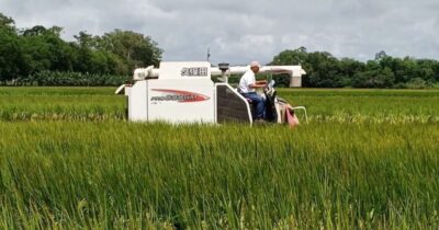 Arroceros respaldan Ley 1720 y aseguran que abre acceso a crédito, pese a protestas