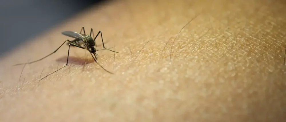 $output.data $output.data