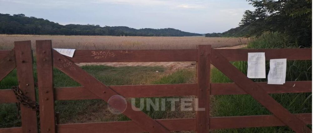 $output.data $output.data