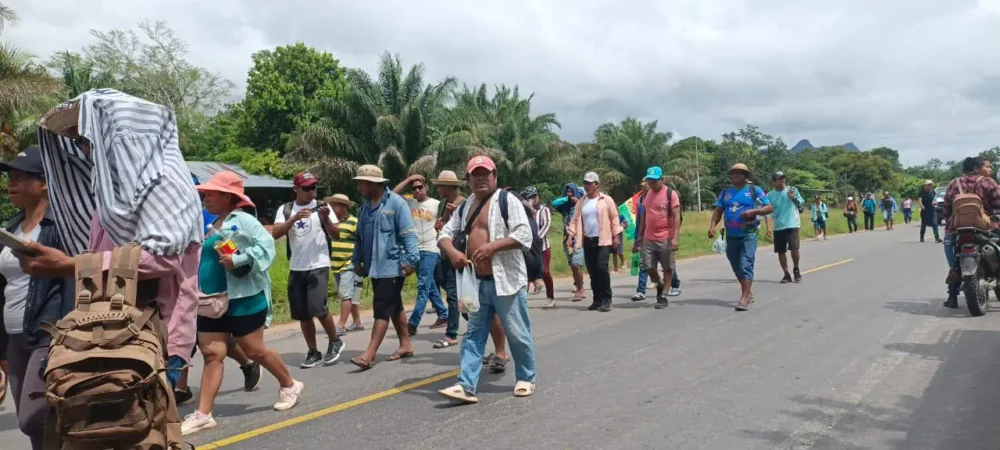 Marcha de campesinos contra la Ley 1720. Foto: RRSS