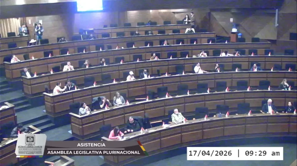 Sesión en la Asamblea. Foto: Captura