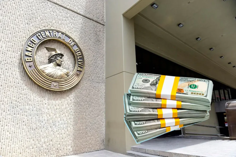 Imagen de referencia