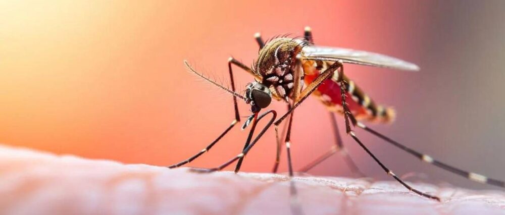 $output.data $output.data