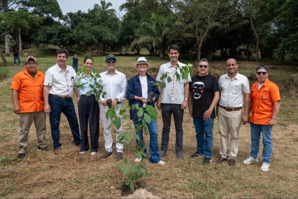 Plantan árboles en el primer Bosque Sinfonía en San Javier - Plantan árboles en el primer Bosque Sinfonía en San Javier