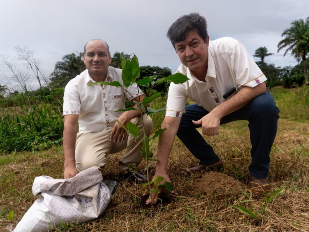 Plantan árboles en el primer Bosque Sinfonía en San Javier - Plantan árboles en el primer Bosque Sinfonía en San Javier