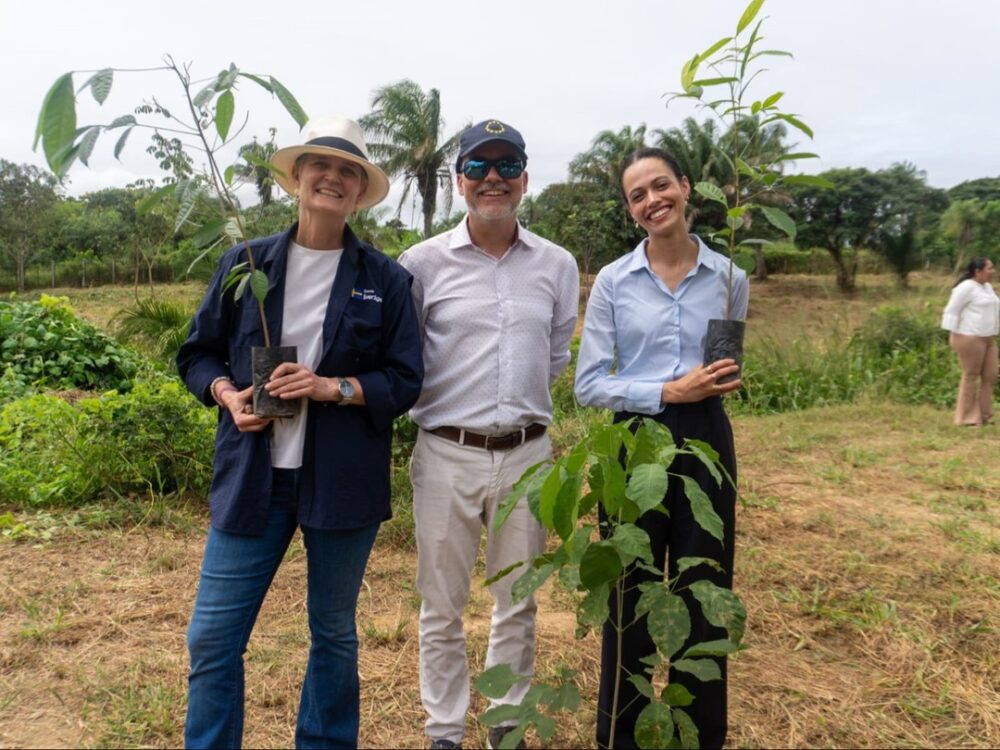 Plantan árboles en el primer Bosque Sinfonía en San Javier - Plantan árboles en el primer Bosque Sinfonía en San Javier