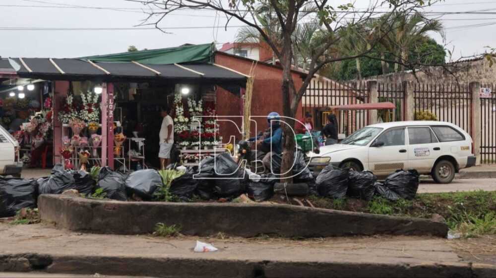 ¿Cuándo se reanudará el recojo de basura en el lado oeste de la ciudad? - ¿Cuándo se reanudará el recojo de basura en el lado oeste de la ciudad?