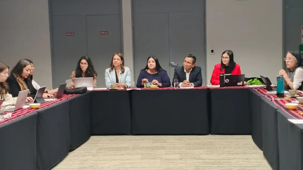 Informe defensorial sobre la atención a víctimas de violencia. FOTO: Defensoría del Pueblo