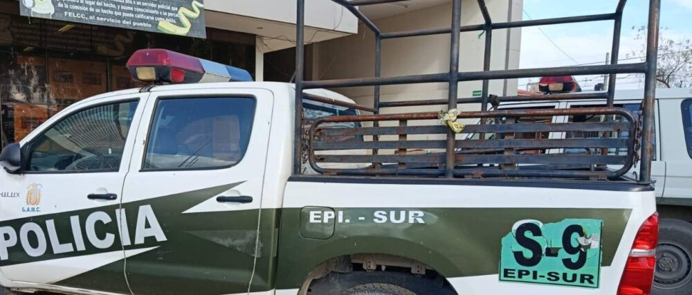 $output.data $output.data