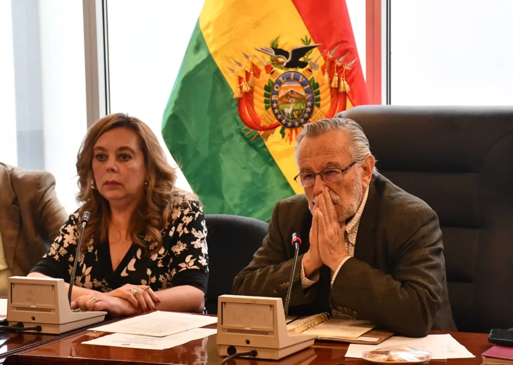 Juan del Granado preside la Comisión de Constitución de la Cámara de Diputados: Foto: APG