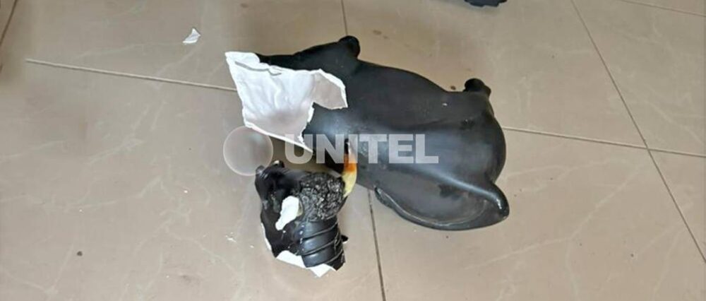 $output.data $output.data