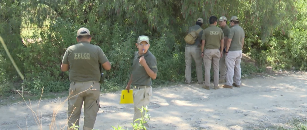 $output.data $output.data