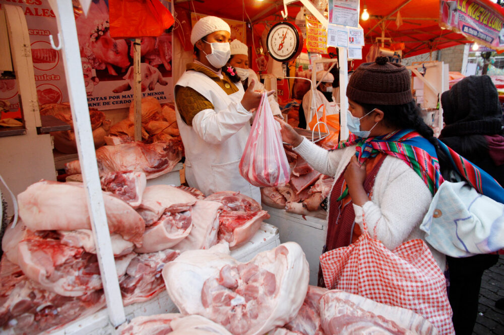 Proyectan exportar 1.000 toneladas mensuales de carne porcina boliviana a cuatro países de la región - ABI