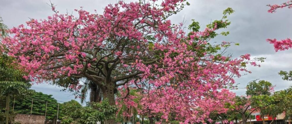 $output.data $output.data