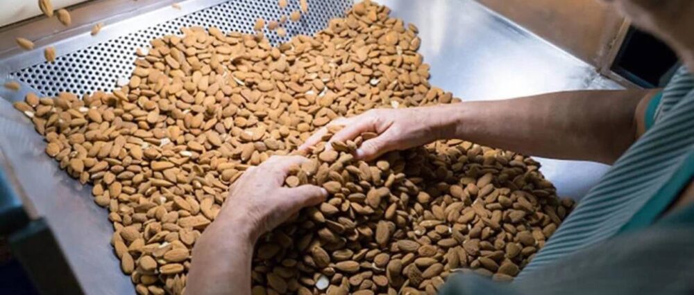 $output.data $output.data