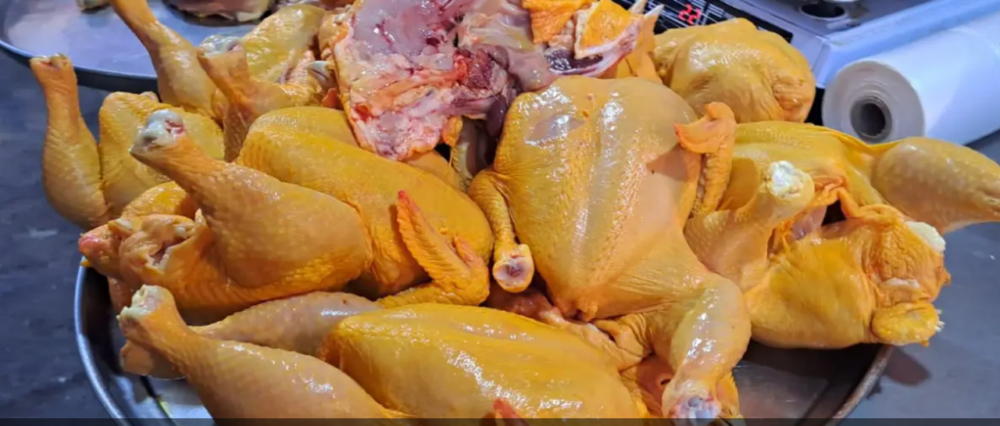 $output.data $output.data