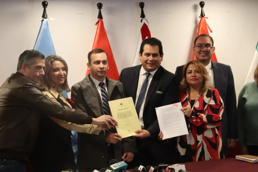 Romer Saucedo en la Cámara de Diputados. Foto: Cámara de Diputados