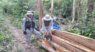 Armada Boliviana decomisa madera ilegal tras un operativo fluvial en el Beni