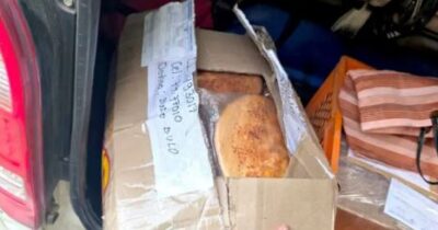 Felcn incauta encomienda con marihuana camuflada entre panes