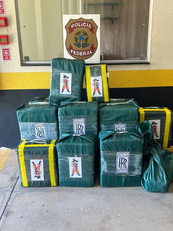 Las bolsas con los paquetes de droga/Policía Federal
