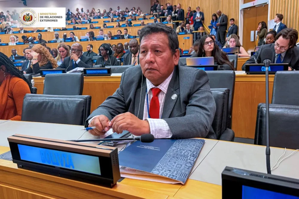 El viceministro Héctor Huanca en la ONU. Foto: Cancillería