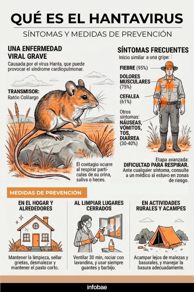 infografia