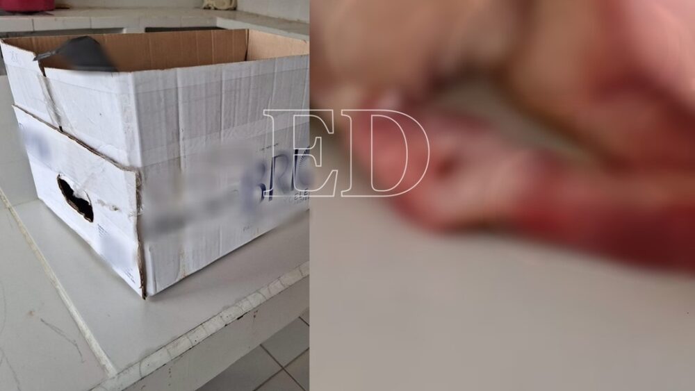 “Me agarró de la mano”: desgarrador hallazgo de un bebé prematuro en un baño en Yapacaní- “Me agarró de la mano”: desgarrador hallazgo de un bebé prematuro en un baño en Yapacaní