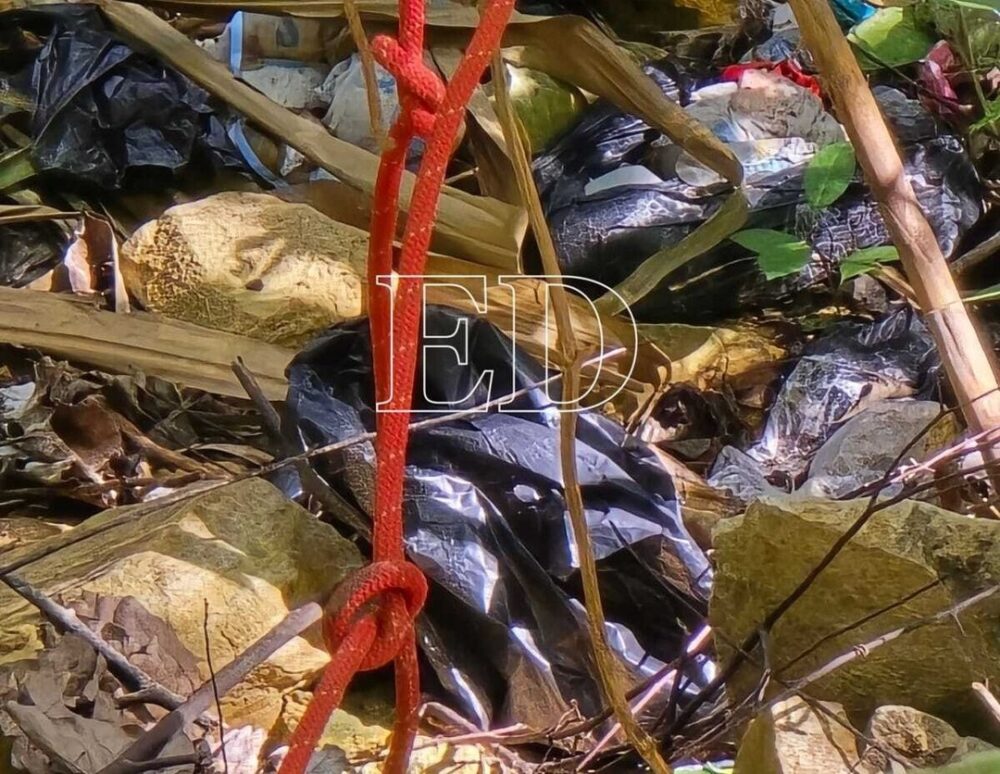 Hallan la cabeza de Rosa en La Angostura tras operativo de rastrillaje