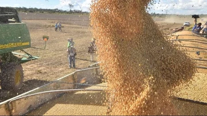 “El país no está exportando un solo dólar”: productores exigen levantar los bloqueos