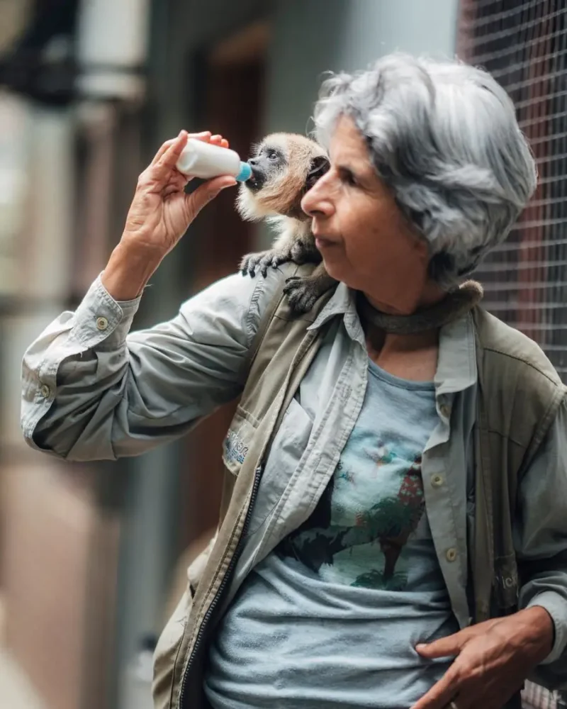 Más de 1.200 animales están en riesgo por falta de alimentos. FOTO: Senda Verde