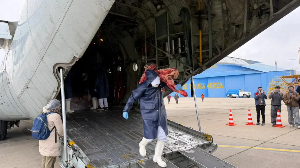 Traslado de carne vacuna a la ciudad de La Paz vía el puente aéreo. Foto: Viceministerio de Comercio y Logística interna