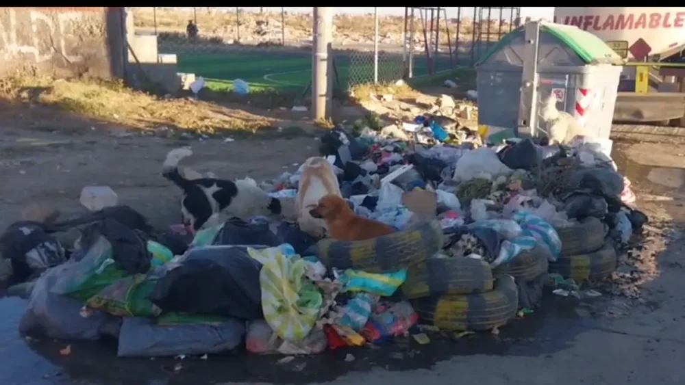 Basura acumulada debido a la suspensión de la recolección por los bloqueos. FOTO: GAMEA