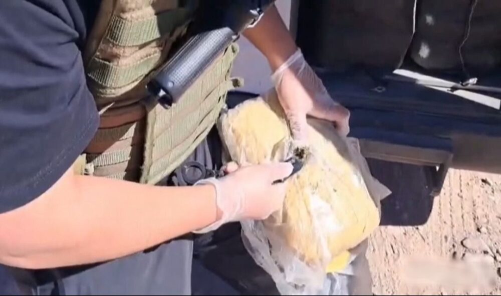 Caen dos bolivianos por tráfico de más de 1 tonelada de marihuana en Chile- Caen dos bolivianos por tráfico de más de 1 tonelada de marihuana en Chile
