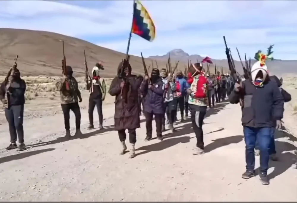 El grupo exhibe armas largas y escopetas/Captura de pantalla