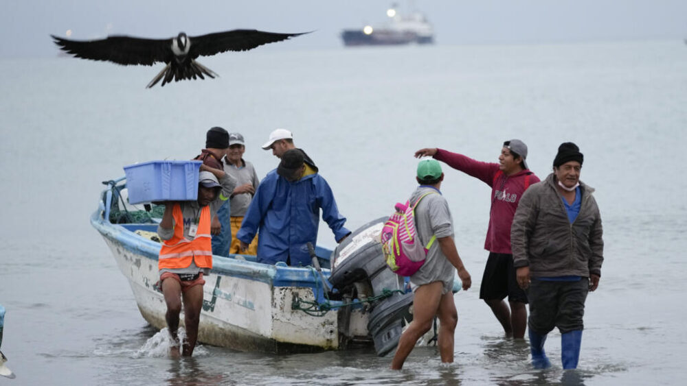 Pescadores llegan a la orilla con sus capturas para venderlas en el mercado de Manta, Ecuador, el martes 24 de septiembre de 2024. Archivo (Foto AP/Dolores Ochoa)