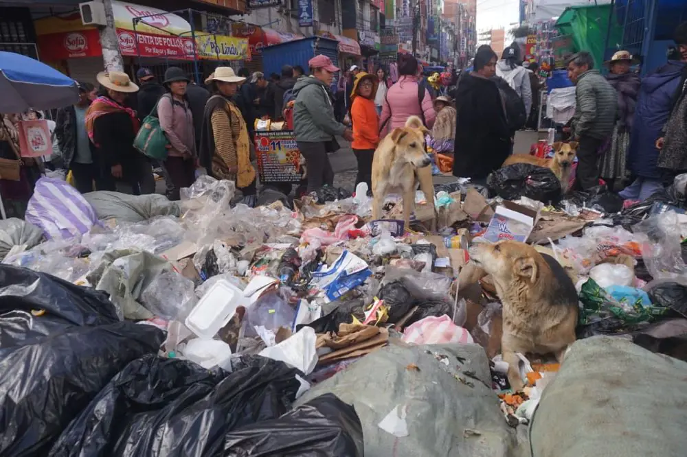 La basura acumulada en una calle de El Alto. FOTO: APG