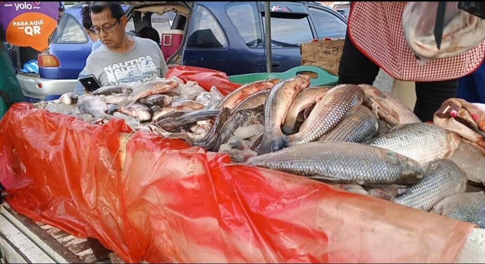 Kilo de queso a Bs 33 y corte solidario de carne de res en Bs 37; en Santa Cruz se acumula la producción