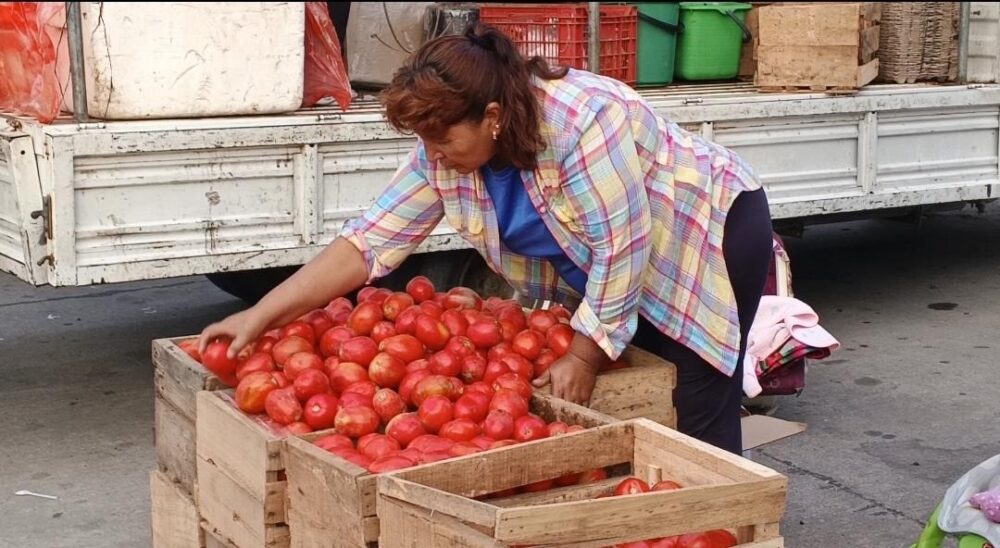 Kilo de queso a Bs 33 y corte solidario de carne de res en Bs 37; en Santa Cruz se acumula la producción
