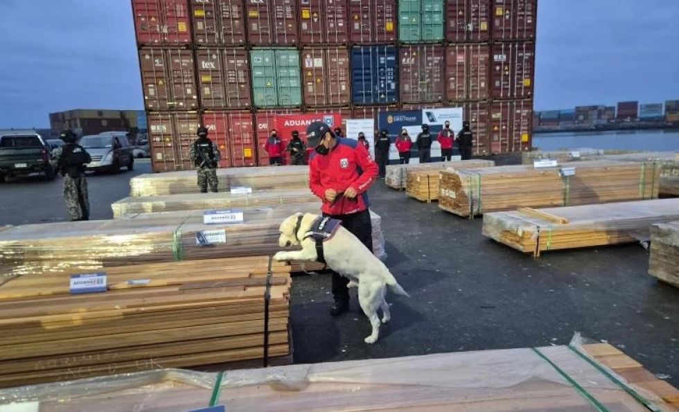 Fiscalía inicia investigación por incautación de más de 100 toneladas de droga en madera enviada desde Bolivia a Chile – RTP