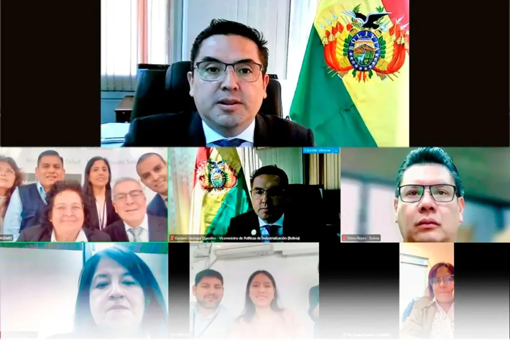 Foro virtual en el que participaron autoridades de Perú y Bolivia. Foto: Viceministerio de Políticas de Industrialización