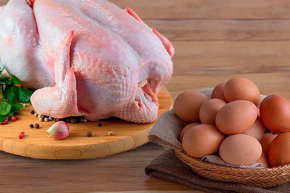 La carne de pollo y huevo para la exportación
